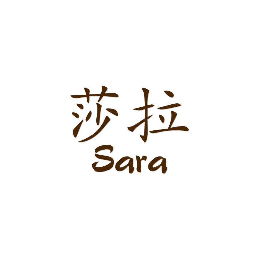 Chinese Symbol Sara Name - Decal Sticker - Multiple Colors & Sizes